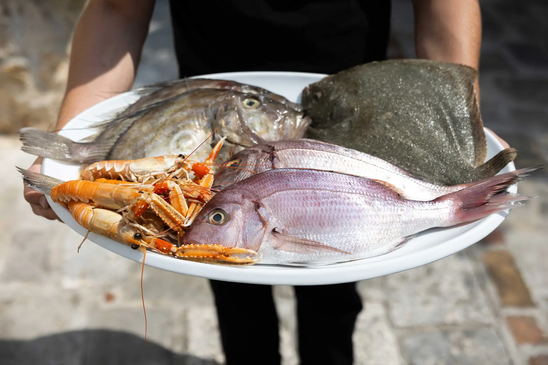Der Fischmarkt in Split verbindet Tradition, Regionalität und die Aromen des Mittelmeers.
