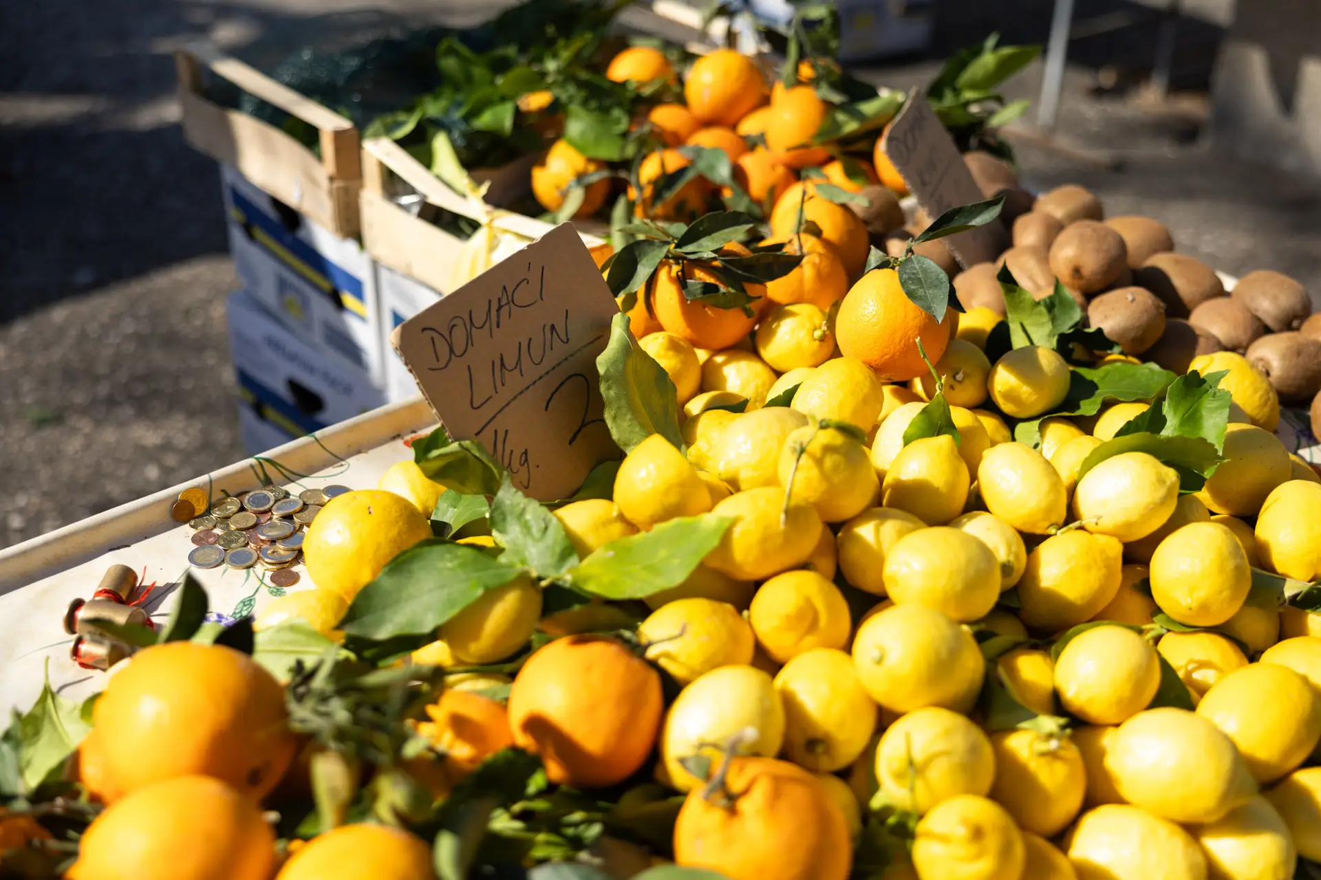 Mit frischen Zutaten genießt du mediterrane Küche auf höchstem Niveau.